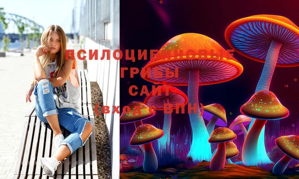 СК Михайловка