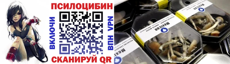 как найти закладки  Починок  Псилоцибиновые грибы мицелий 